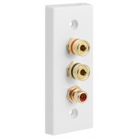 Architrave White square edge 1.1 Speaker Wall Plate 2 Terminals + RCA Phono Socket - No Soldering Required