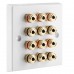 White  6.0 Speaker Wall Plate 12 Terminals - One Gang - No Soldering Required