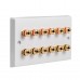 White Plastic 6.0 Speaker Wall Plate 12 Terminals - Two Gang - No Soldering Required