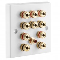 White Plastic 5.1 Speaker Wall Plate 10 Terminals + RCA Phono Socket - One Gang - No Soldering Required