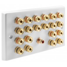 White  10.1 Speaker Wall Plate 20 Terminals + RCA Phono Socket - Two Gang - No Soldering Required