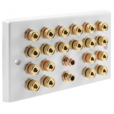White  10.2 Speaker Wall Plate 20 Terminals + 2 RCA Phono Sockets - Two Gang - No Soldering Required