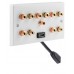 5.1 Surround Sound Speaker Wall Plate with Gold Binding Posts + 1 x RCA Socket + 1 x HDMI FLEXIBLE FLYLEAD. NO SOLDERING REQUIRED