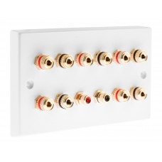 White  5.2 Speaker Wall Plate 10 Terminals + 2 RCA Phono Sockets - Two Gang - No Soldering Required