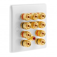 White Slimline 5.1  Speaker Wall Plate - 10 Terminals + RCA - Rear Solder tab Connections