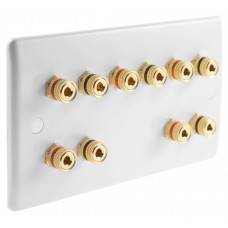 SlimLine White 5.0 2 Gang - 10 Binding Post Speaker Wall Plate - 10 Terminals - No Soldering Required