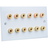 SlimLine White 6.0 2 Gang - 12 Binding Post Speaker Wall Plate - 12 Terminals - No Soldering Required