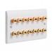 Complete Dolby 7.0 Surround Sound Speaker Wall Plate Kit - Slimline - No Soldering Required