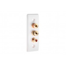 White 1.1 Slimline Architrave Speaker Wall Plate 2 Terminals + RCA Phono Socket - No Soldering Required
