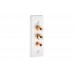 White 1.1 Slimline Architrave Speaker Wall Plate 2 Terminals + RCA Phono Socket - No Soldering Required