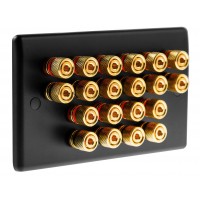 Matt Black Slimline 10.0 - 20 Binding Post Speaker Wall Plate - 20 Terminals - Rear Solder tab Connections