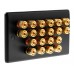 Matt Black Slimline 10.0 - 20 Binding Post Speaker Wall Plate - 20 Terminals - Rear Solder tab Connections
