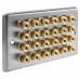 Stainless Steel Brushed Raised plate - 12.0 - 24 Binding Post Speaker Wall Plate - 24 Terminals - No Soldering Required