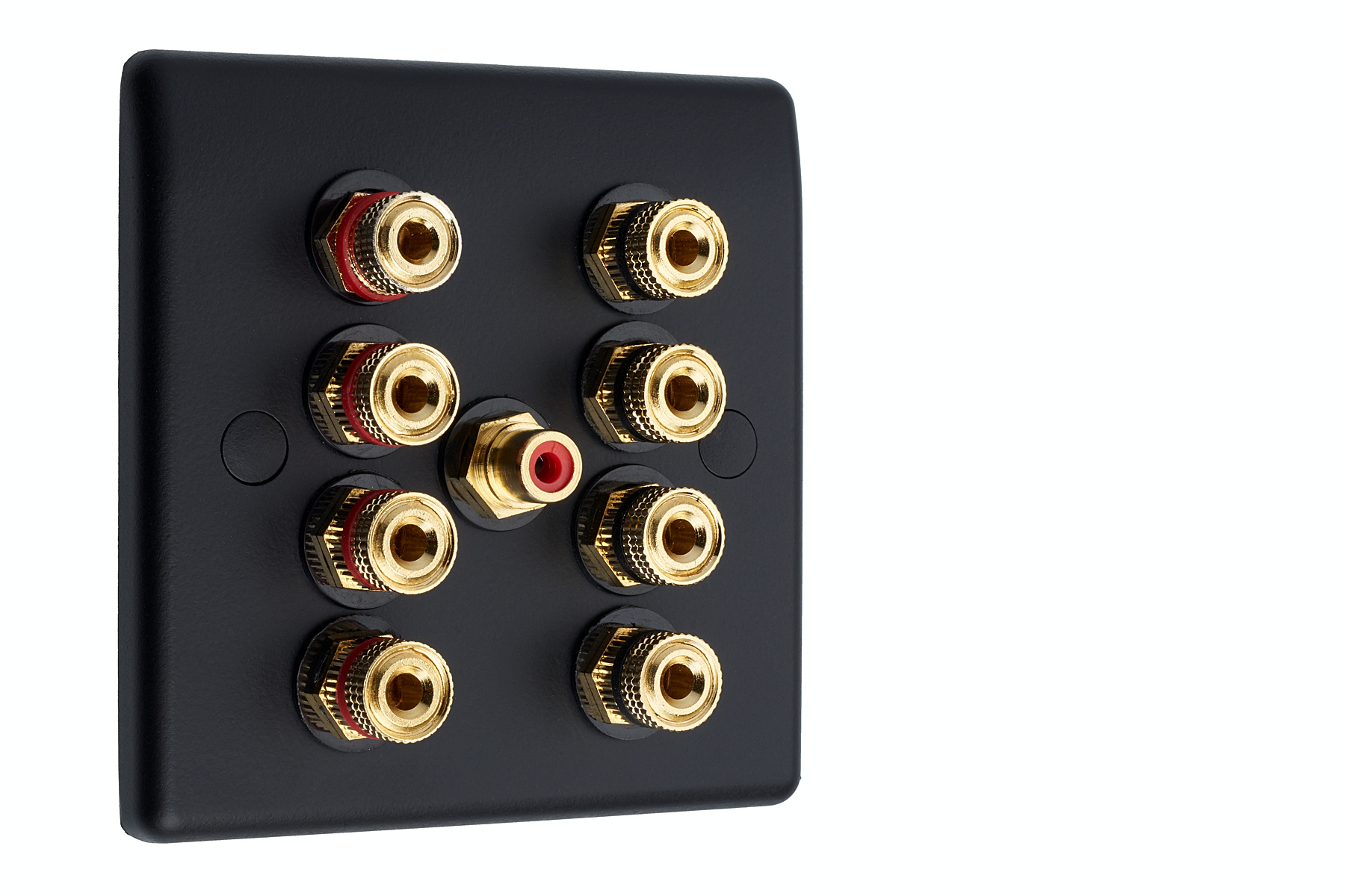Speaker Wall Plate Matt Black 2 Gold Binding Posts AV Audio Non-solder